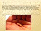 Aborto problematika Lietuvoje 5 puslapis