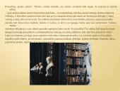 Antikinės filosofijos ištakos 3 puslapis