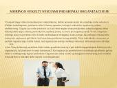 Darbuotojų mobingas organizacijoje 13 puslapis