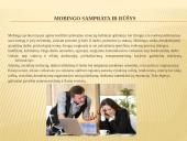 Darbuotojų mobingas organizacijoje 3 puslapis