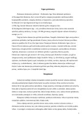 Alzheimerio liga ir jos profilaktika 5 puslapis