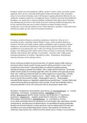 Hamleto veikėjų analizė 2 puslapis