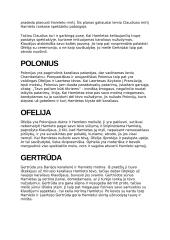 Hamleto veikėjų analizė 4 puslapis