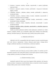 Amerikiečių derybų vedimo stilius 4 puslapis