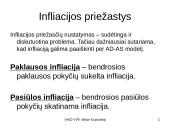 Infliacija - skaidrės 11 puslapis