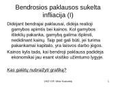 Infliacija - skaidrės 12 puslapis