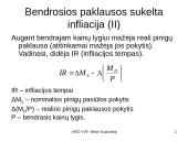Infliacija - skaidrės 13 puslapis