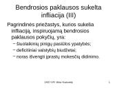 Infliacija - skaidrės 14 puslapis