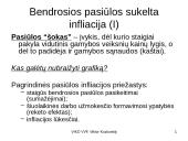 Infliacija - skaidrės 15 puslapis