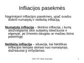 Infliacija - skaidrės 17 puslapis
