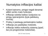 Infliacija - skaidrės 18 puslapis