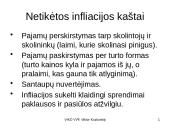 Infliacija - skaidrės 19 puslapis