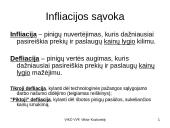 Infliacija - skaidrės 3 puslapis