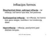 Infliacija - skaidrės 4 puslapis