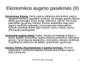 Ekonomikos augimas - skaidrės 11 puslapis