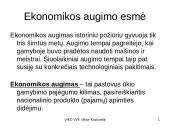 Ekonomikos augimas - skaidrės 3 puslapis