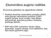 Ekonomikos augimas - skaidrės 4 puslapis