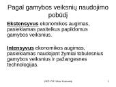 Ekonomikos augimas - skaidrės 7 puslapis