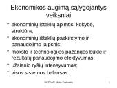 Ekonomikos augimas - skaidrės 9 puslapis