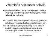 Rinkos veikimo mechanizmas (makroekonominis požiūris) 11 puslapis