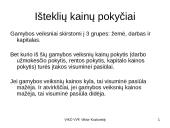 Rinkos veikimo mechanizmas (makroekonominis požiūris) 19 puslapis