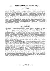 Apatinis drabužis ir korsetas 3 puslapis