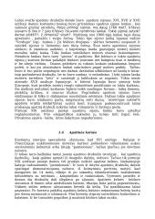 Apatinis drabužis ir korsetas 4 puslapis