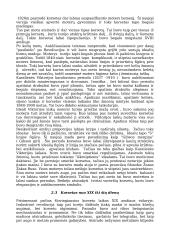Apatinis drabužis ir korsetas 9 puslapis
