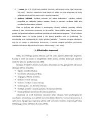 Aleksitimija - samprata, požymiai 5 puslapis