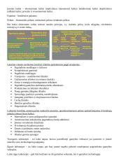 Ekonomikos paskaitų medžiaga 10 puslapis