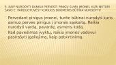 Kas yra elektroninė bankininkystė? 8 puslapis