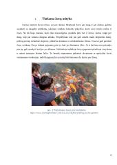 Žuvų mityba 8 puslapis