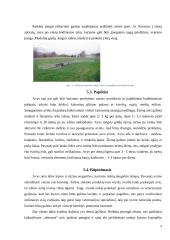 Šiuolaikinės avių fermos 9 puslapis