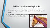Galvijų, arklių seilių liaukos 11 puslapis