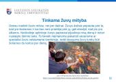 Žuvų mityba - skaidrės 11 puslapis