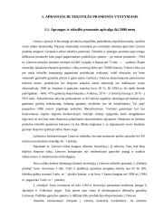 Aprangos ir tekstilės pramonės vystymasis 2 puslapis