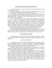 Architektūros prigimtys 2 puslapis