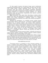 Architektūros prigimtys 3 puslapis