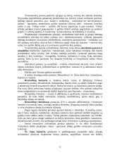 Architektūros prigimtys 4 puslapis