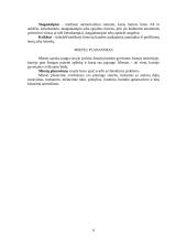 Architektūros prigimtys 7 puslapis