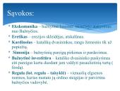 Krikščionių bažnyčia viduramžiais 2 puslapis