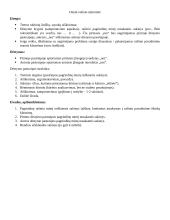 Detali rašinio atmintinė