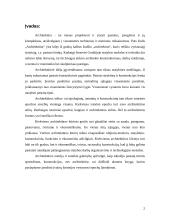 Architektūros istorija (referatas) 2 puslapis