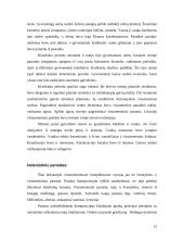 Architektūros istorija (referatas) 15 puslapis