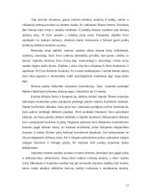 Architektūros istorija (referatas) 17 puslapis