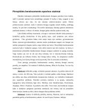 Architektūros istorija (referatas) 3 puslapis