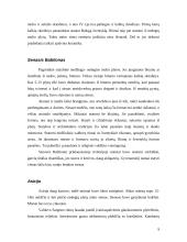 Architektūros istorija (referatas) 9 puslapis