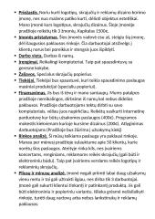 Paprastas verslo planas 2 puslapis