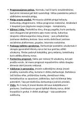 Paprastas verslo planas 3 puslapis