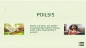 Dešimt sveikos gyvensenos rekomendacijų dirbant kompiuteriu  12 puslapis